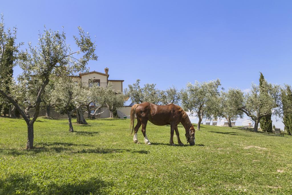 Agriturismo Le Bosche San Marino Eksteriør billede