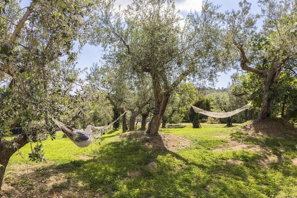 Agriturismo Le Bosche San Marino Eksteriør billede
